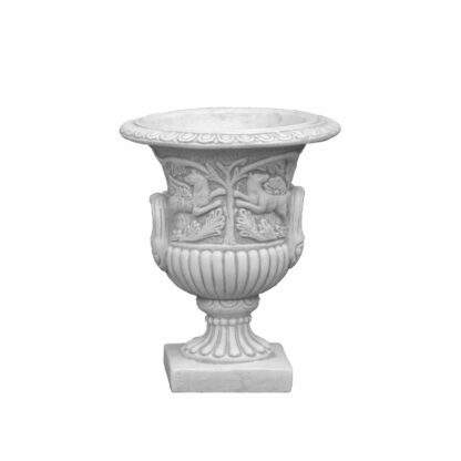 Vaso Ibisco