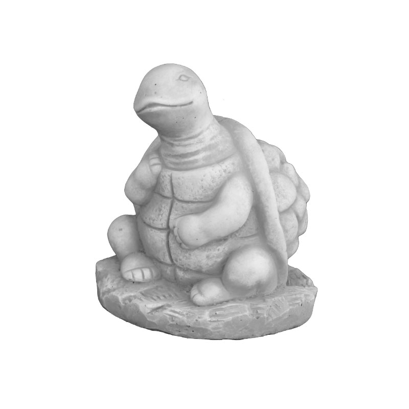 Tartaruga piccola