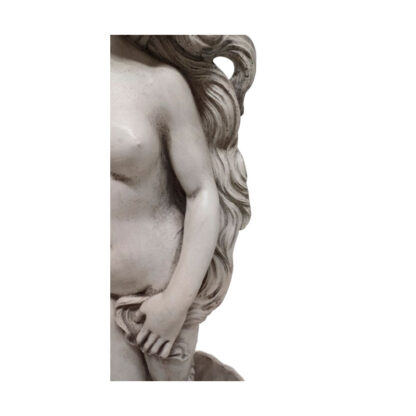 Venere di Botticelli - immagine 2